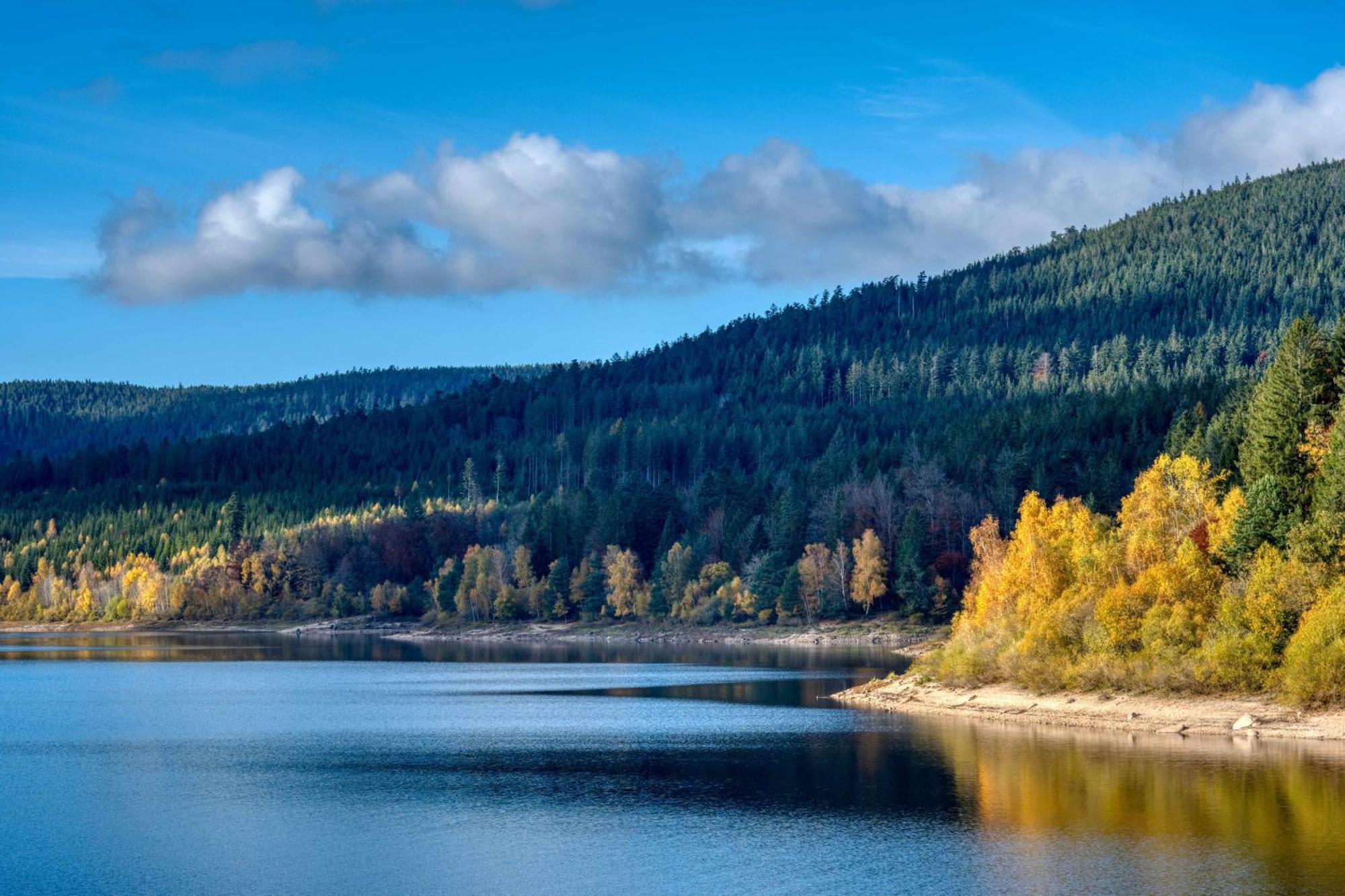 Zum Alten Waerterhaus Forbach Bagian luar foto